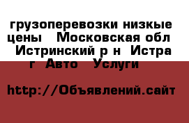 грузоперевозки низкые цены - Московская обл., Истринский р-н, Истра г. Авто » Услуги   